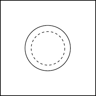 Рис. 18. Остаточное изображение на пустой карточке.png