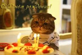 Без названия (10).jpeg