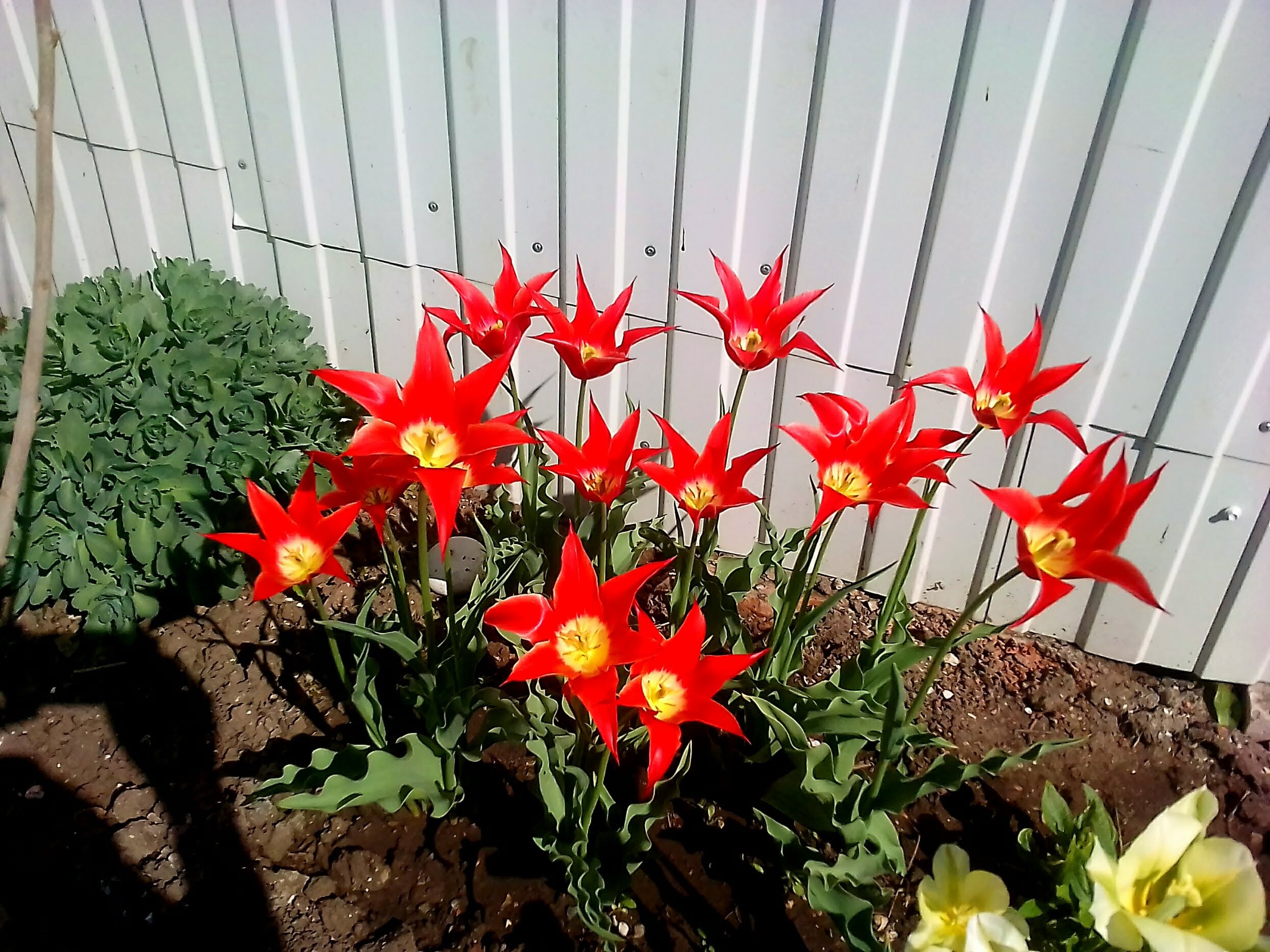 2018-04-29-094138 .jpg