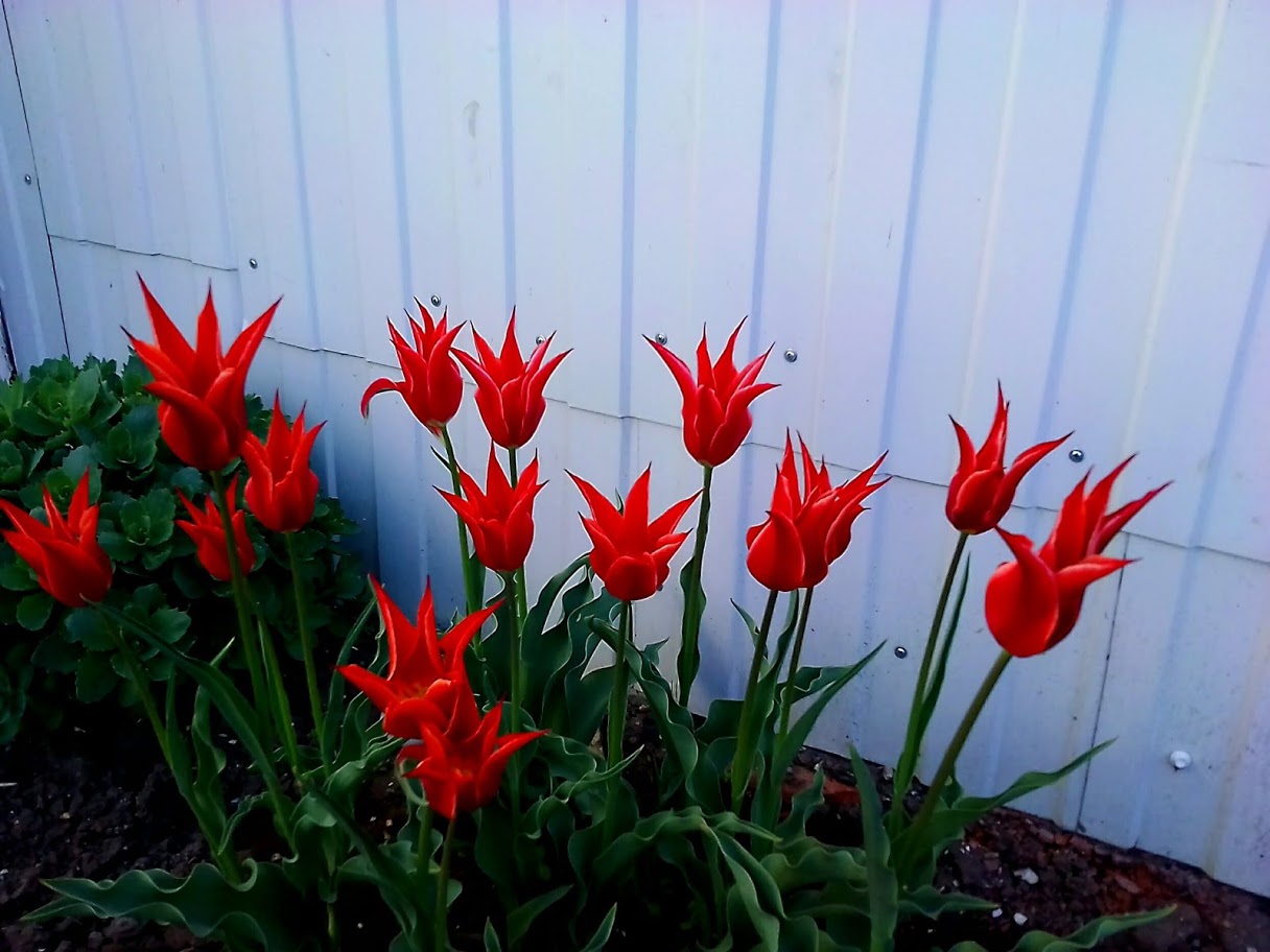 2018-04-27-075938 .jpg