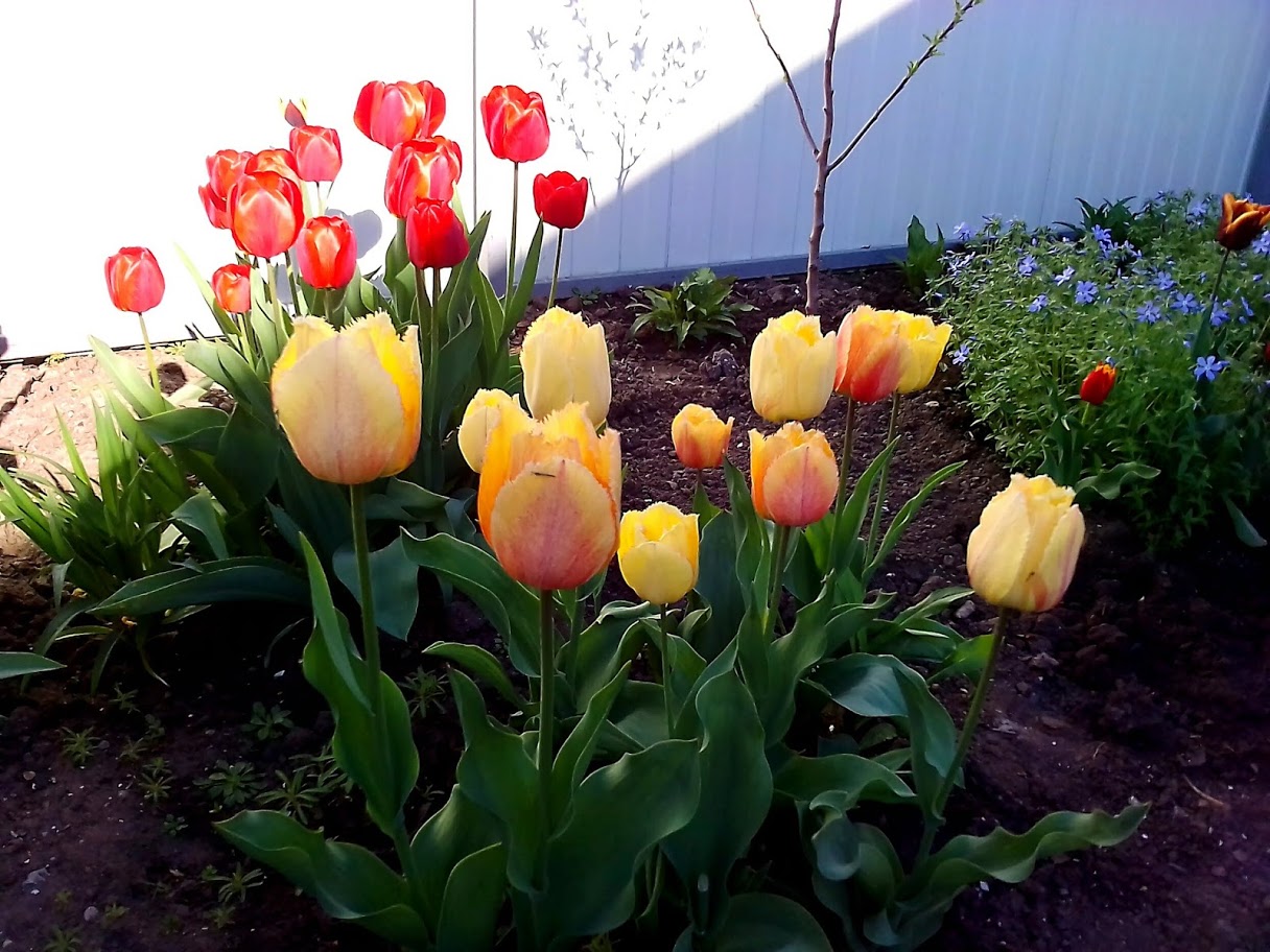 2018-04-27-075742 .jpg