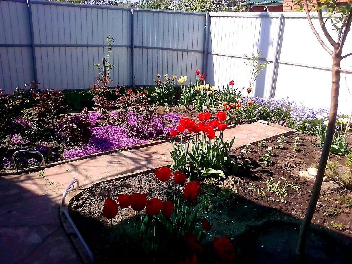 2018-04-29-094301 .jpg