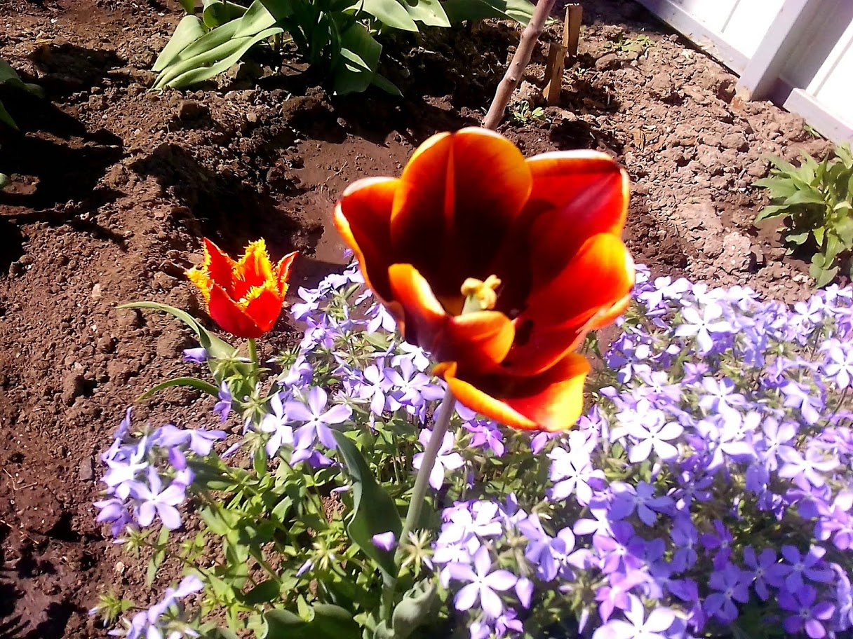 2018-04-29-094115 .jpg