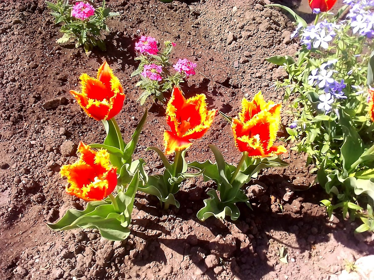 2018-04-29-094051 .jpg