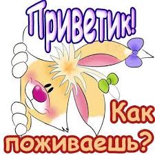 Без названия (9).jpg