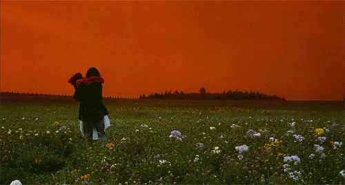 gifki_lubov_01 (1).gif