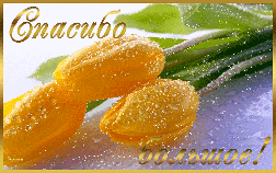 спасибо большое эзомагистраль.gif