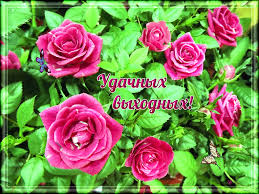 Без названия (4).jpg